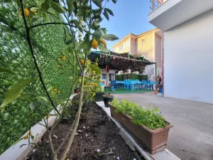 İasos Saklıkent Pansiyon Zeytinlikuyu Kıyıkışlacık