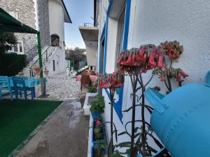 İasos Saklıkent Pansiyon Zeytinlikuyu Kıyıkışlacık