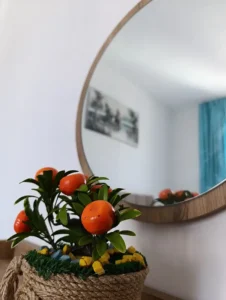 İasos Saklıkent Pansiyon