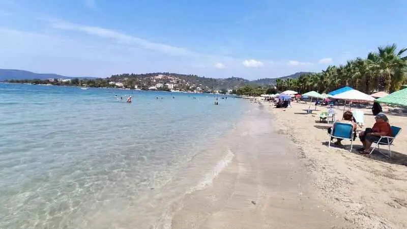 Doğal Güzellikler 8 zeytinlikuyu plaji